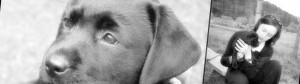 emotionheader